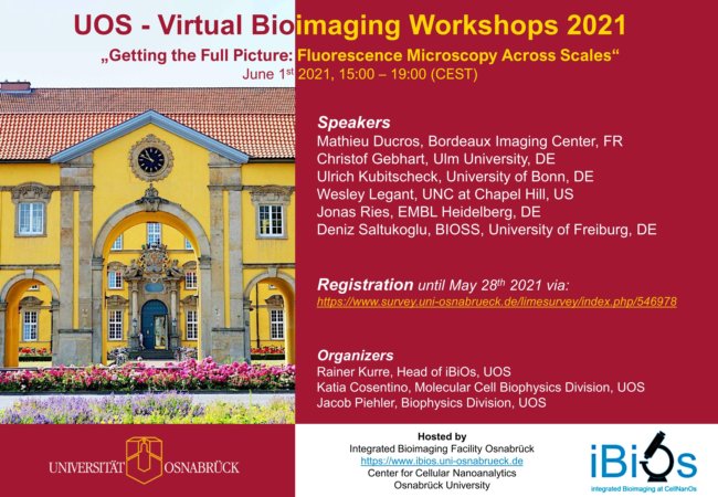 Image "Home/Virtual Bioimaging Workshops 2021:Flyer_iBiOs_Workshop_Imaging_Across_Scales_registration.jpg"