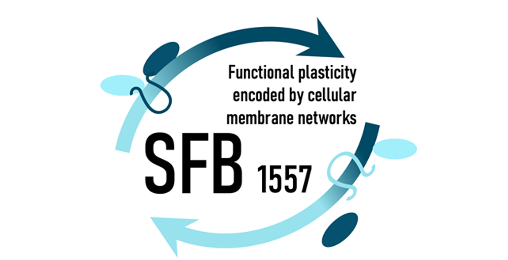 Image "Home:SFB_1557_logo_small.png"