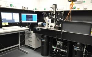 Image "Light Microscopy:BP_TIRF_3_Line.jpg"