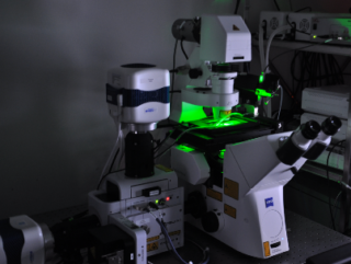Bild "Light Microscopy:MB_Spinning_Disc_fluor.png"