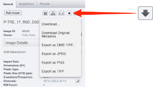 Image "Service:exportDropdownWeb.jpg"